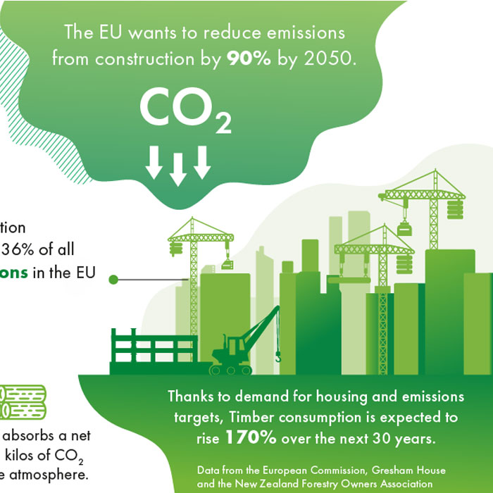 Environment Infographic